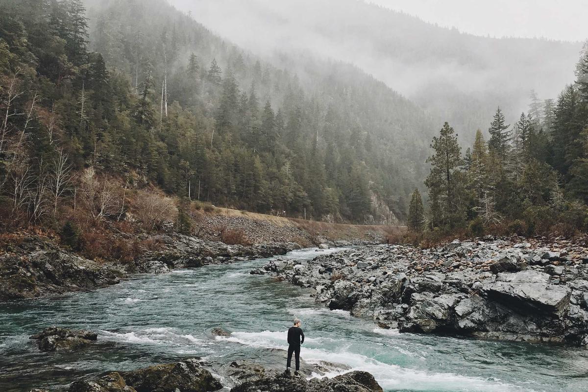 top 10 safari destinations for families safari game drive family