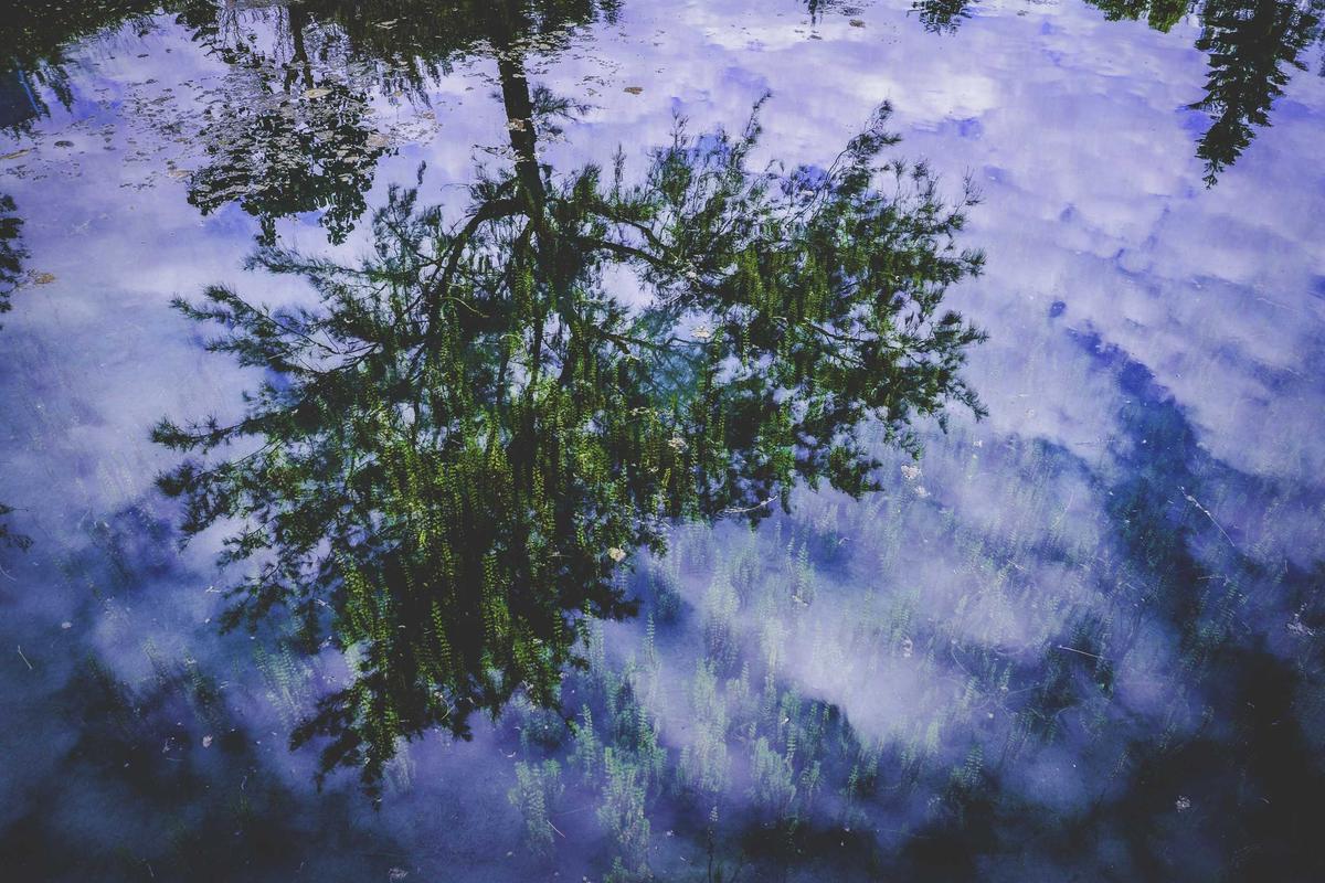 top 10 safari destinations for families safari lodge kids